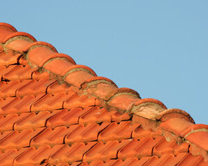 Les différents types