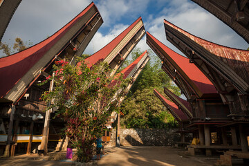 savoir-faire ancestral