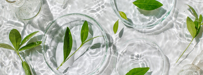 différentes cultures