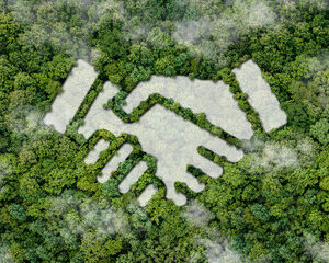 le changement climatique