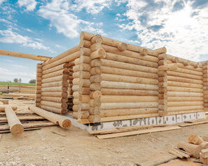 menuiserie écologique