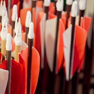 praticiens en auriculothérapie