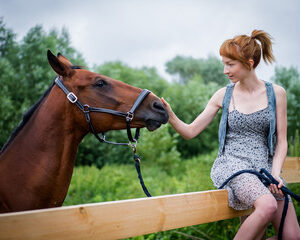 propriétaires de chevaux