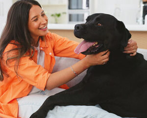 santé mentale des animaux