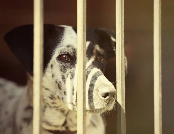 formation pour les Responsables de refuge