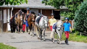 moniteur d'équitation