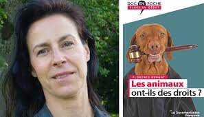 gestion administrative