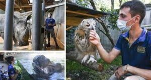 des amoureux des animaux