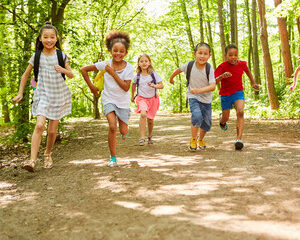 organisation d'excursions