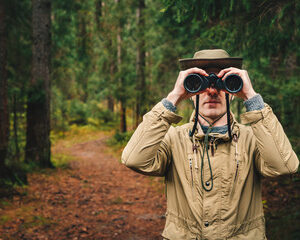 écosystèmes urbains 