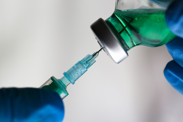 maladies chez les animaux