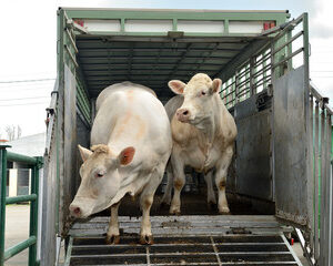 chargement et du déchargement