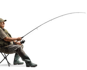 biodiversité en milieu urbain