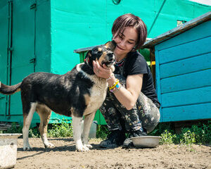 gestion des comportements