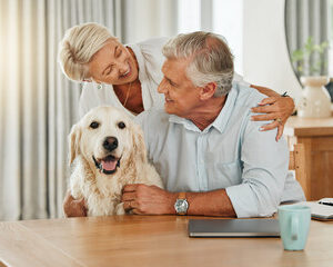 qualité de vie des familles