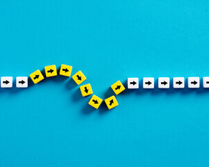 stratégies d'adaptation