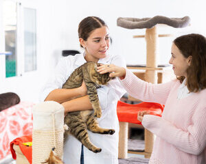 La gestion des relations