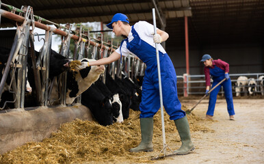 approvisionnement de l'alimentation animale
