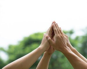 solidarité et du bien-être