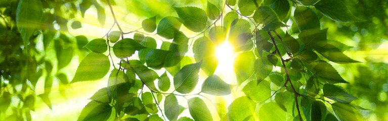 sites naturels remarquables