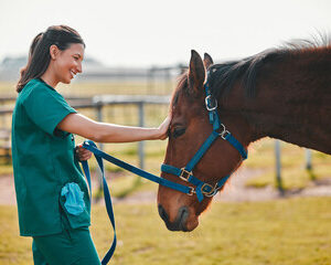 relation privilégiée avec les bêtes