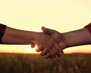 collaboration internationale