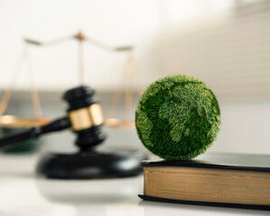 politiques environnementales