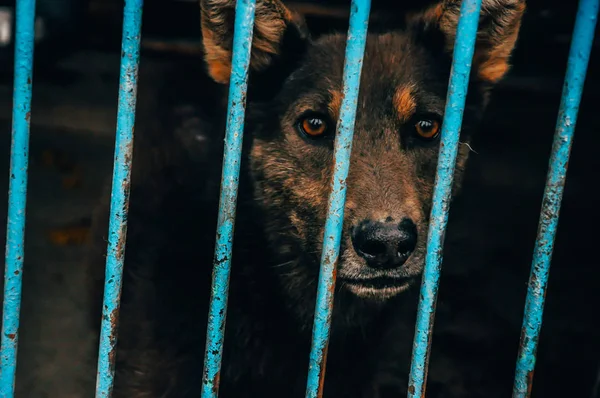 nouvel environnement