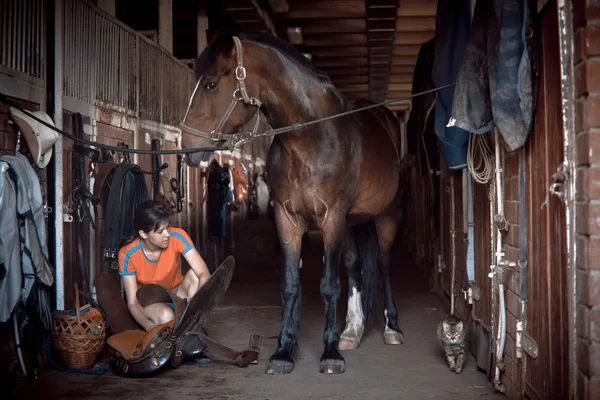 rencontre la compétence