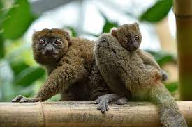 la sensibilisation à l'environnement