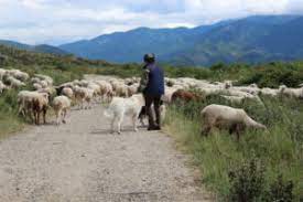 La nouvelle génération