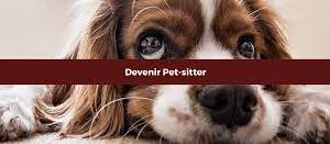 emploi de garde d'animaux 