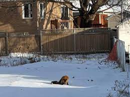 préservation de la nature