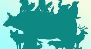 Les moments difficiles