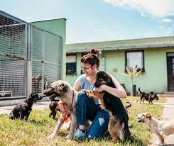 La relation privilégiée