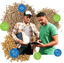 l'analyse des spécialistes