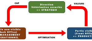 l'équipe vétérinaire