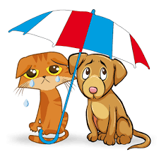 des émotions intenses