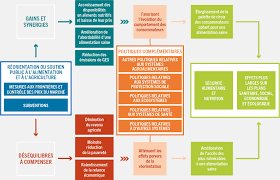 L'importance de l'éducation