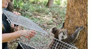 cohabitation harmonieuse