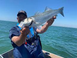 ambassadeurs de la nature 