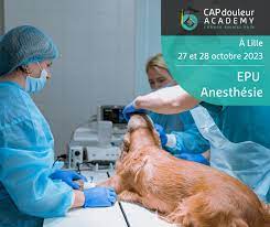 gestion de la douleur