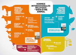 le travail des agents