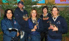 Le travail d'équipe