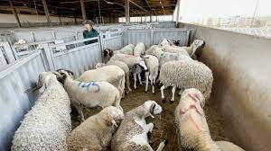 Les défis logistiques