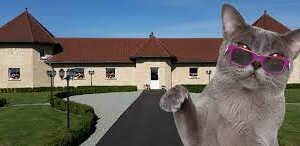 Le pensionnat pour chiens et chats