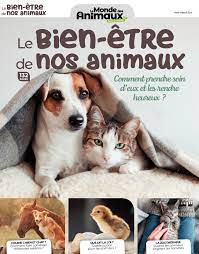 Les enjeux éthiques