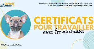 devenir un professionnel