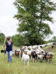 Gardiens de la qualité