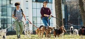 meilleures pratiques